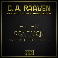 Cover-Bild zum Titel 'Enter Sandman' von 'C. A. Raaven'