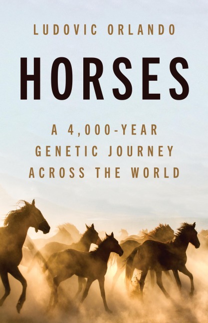 Horses - Ludovic Orlando
