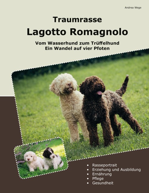 Traumrasse Lagotto Romagnolo - Andrea Wege