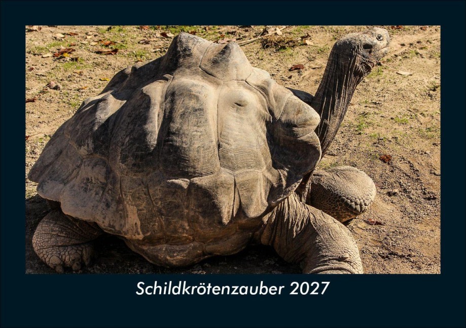 Schildkrötenzauber 2027 Fotokalender DIN A5 - Tobias Schmitt, Kevin Heber
