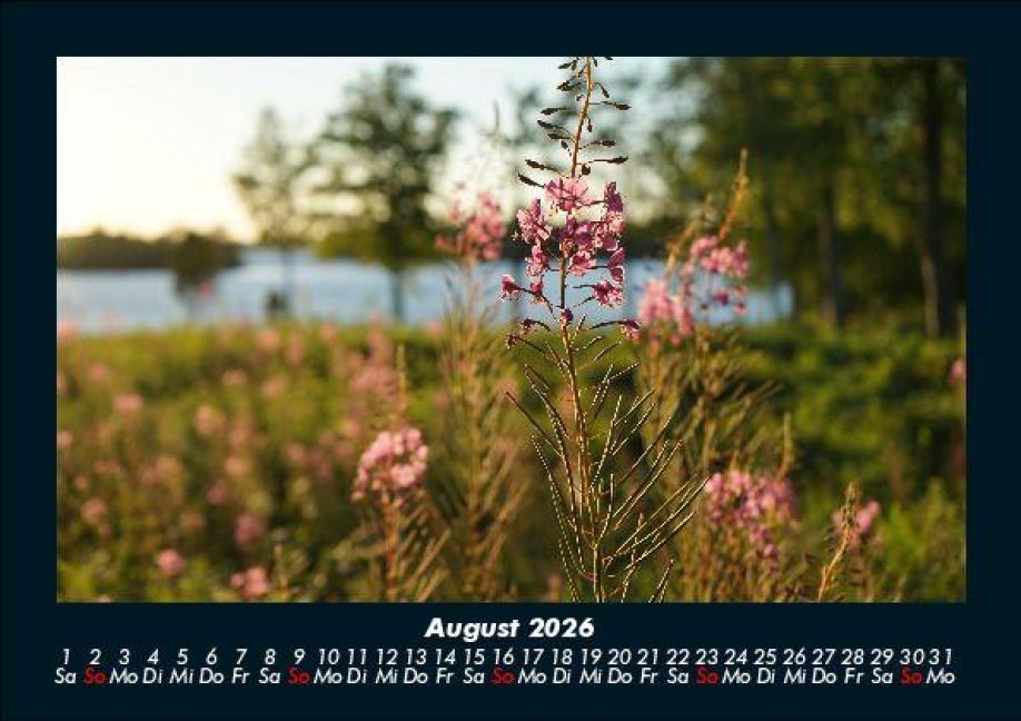 InsideView 12