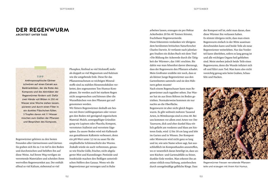 InsideView 4