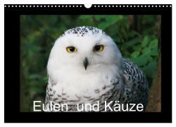 Eulen und Käuze (Wandkalender 2025 DIN A3 quer), CALVENDO Monatskalender - Four Hands Art