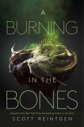 Cover-Bild zum Titel 'A Burning in the Bones' von 'Scott Reintgen'