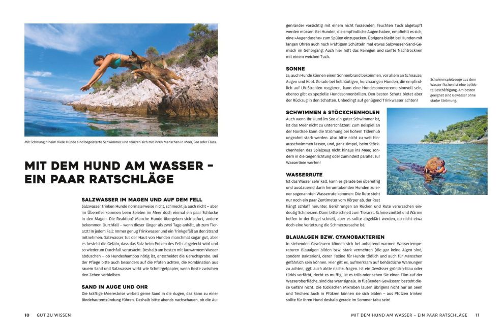 InsideView 4