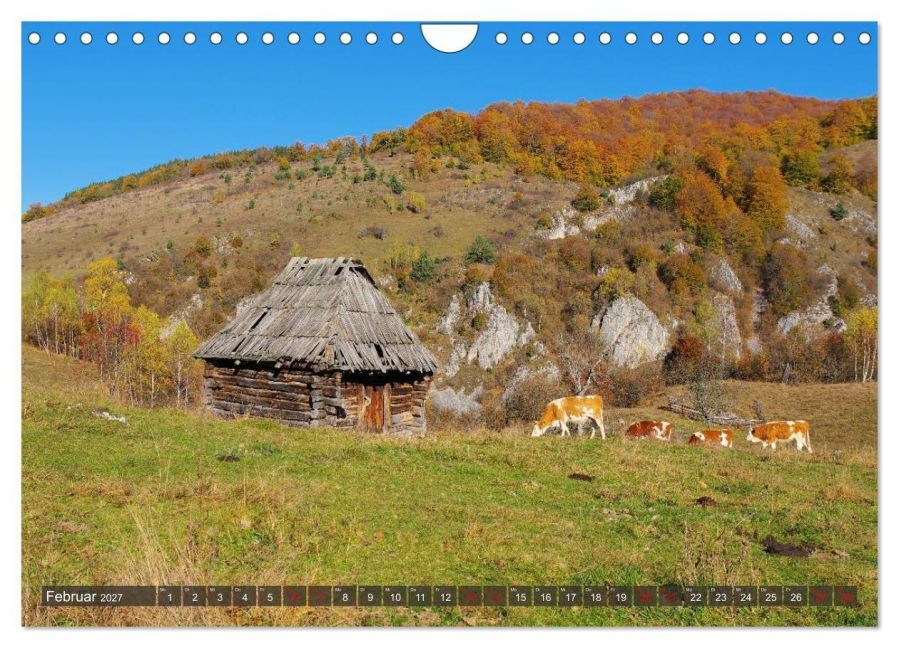 InsideView 7
