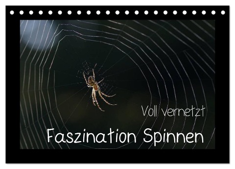 Voll vernetzt - Faszination Spinnen (Tischkalender 2024 DIN A5 quer), CALVENDO Monatskalender - Sigrid Enkemeier