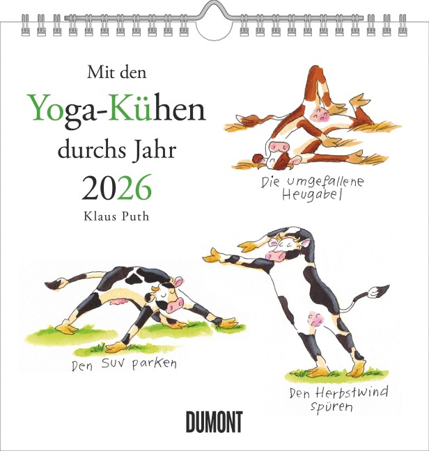 Mit den Yoga-Kühen durchs Jahr 2026 - Wandkalender - Quadratformat 23 x 23 cm - 