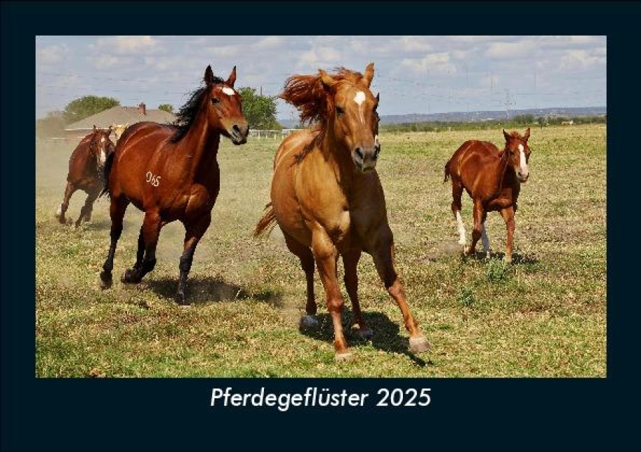 Pferdegeflüster 2025 Fotokalender DIN A5 - Tobias Becker