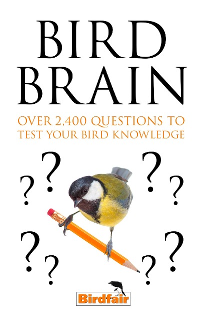 Bird Brain - 