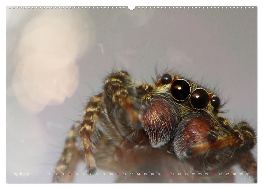 InsideView 9