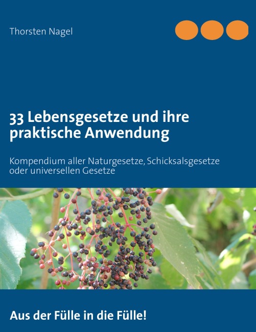 33 Lebensgesetze und ihre praktische Anwendung - Thorsten Nagel