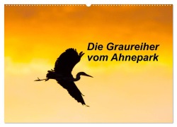 Die Graureiher vom Ahnepark (Wandkalender 2026 DIN A2 quer), CALVENDO Monatskalender - Wilfried Martin