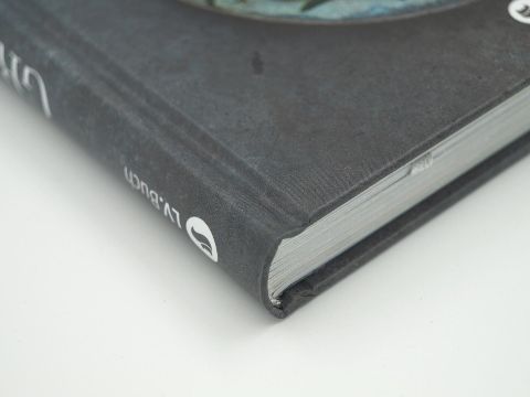 InsideView 4