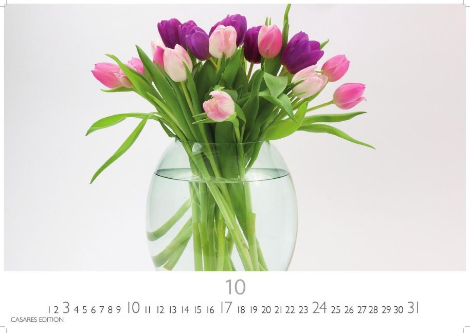 InsideView 10
