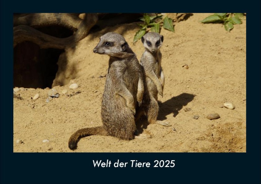 Welt der Tiere 2025 Fotokalender DIN A4 - Tobias Becker