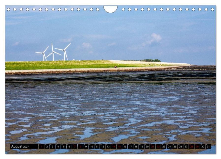 InsideView 13
