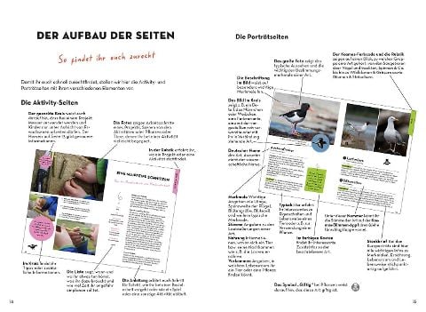 InsideView 3