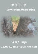 Cover-Bild zum Titel 'Something Undulating' von 'Jacob Kobina Ayiah Mensah'