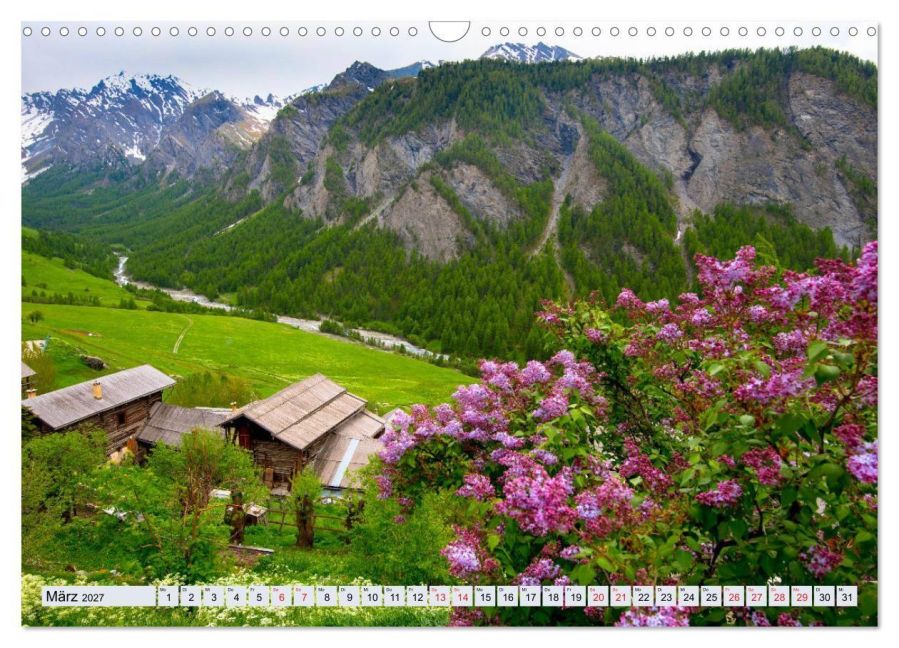 InsideView 8