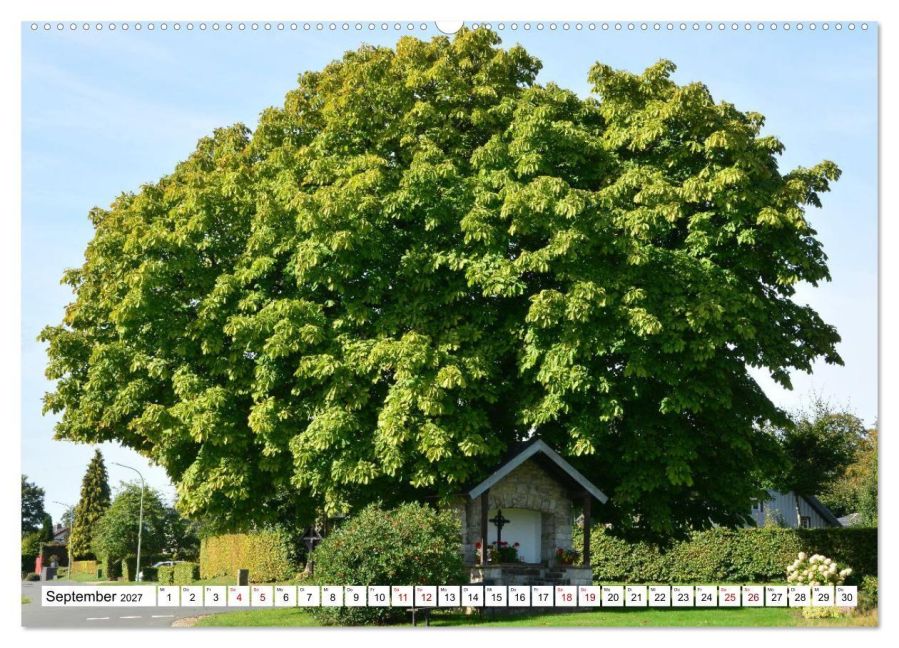 InsideView 14