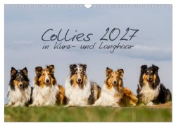Cover-Bild zum Titel 'Collies 2027 in Kurz- und Langhaar (Wandkalender 2027 DIN A3 quer), CALVENDO Monatskalender' von 'Christine Hemlep'