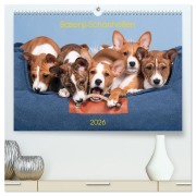Cover-Bild zum Titel 'Basenji-Schönheiten (hochwertiger Premium Wandkalender 2026 DIN A2 quer), Kunstdruck in Hochglanz' von 'Angelika Joswig'