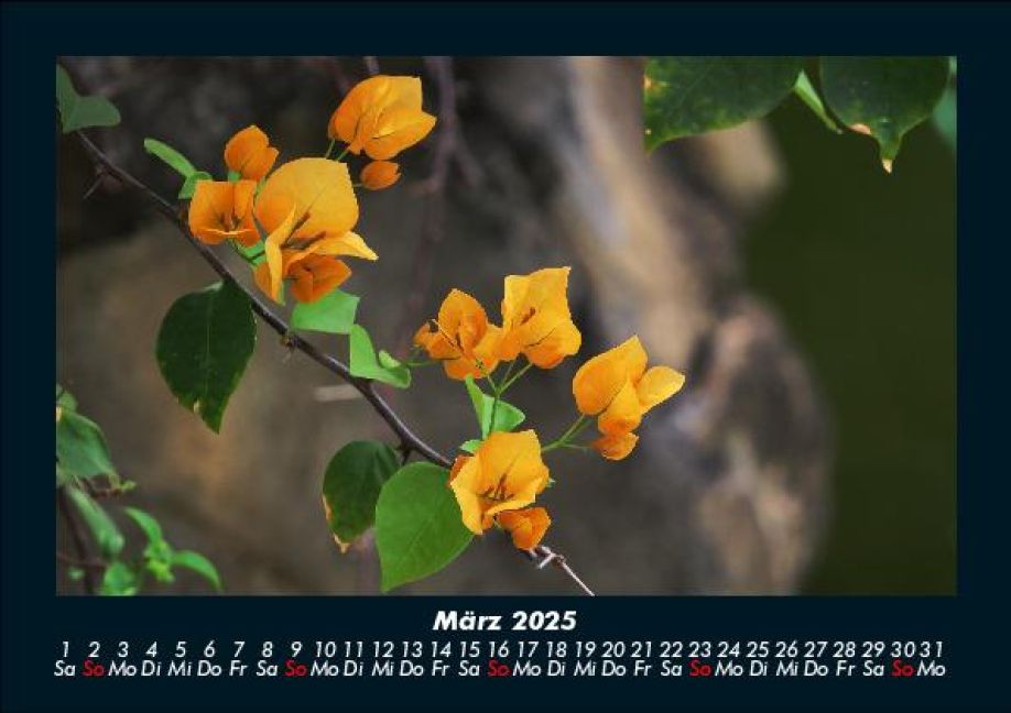 InsideView 7