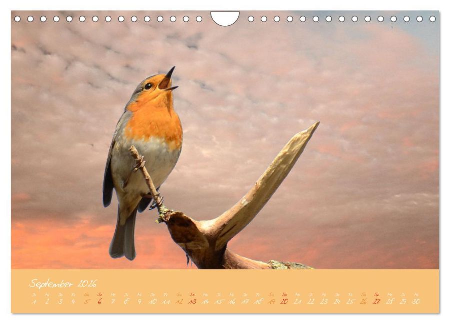 InsideView 14
