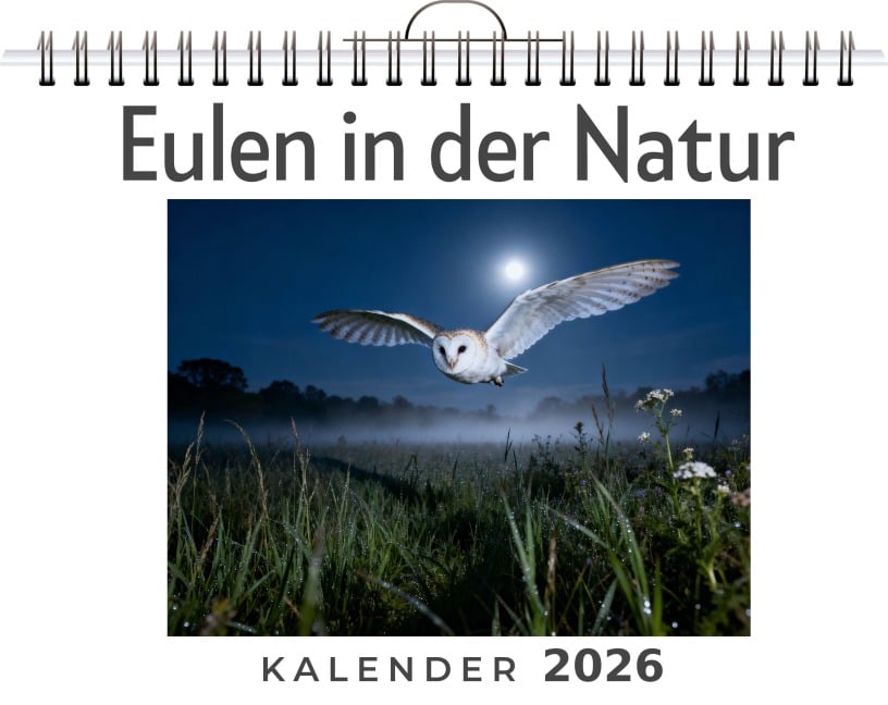 Eulen in der Natur - Oliver Schmidt Eulen in der Natur - Oliver Schmidt