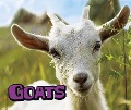 Goats - Kathryn Clay