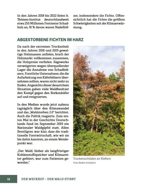 InsideView 7