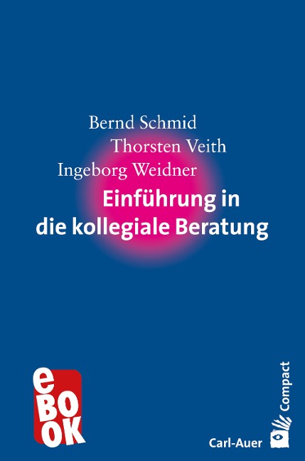Einführung in die kollegiale Beratung - Bernd Schmid, Thorsten Veith, Ingeborg Weidner
