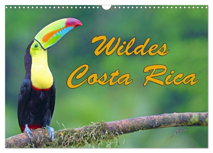 Wildes Costa Rica (Wandkalender 2026 DIN A3 quer), CALVENDO Monatskalender - Stefan Schütter