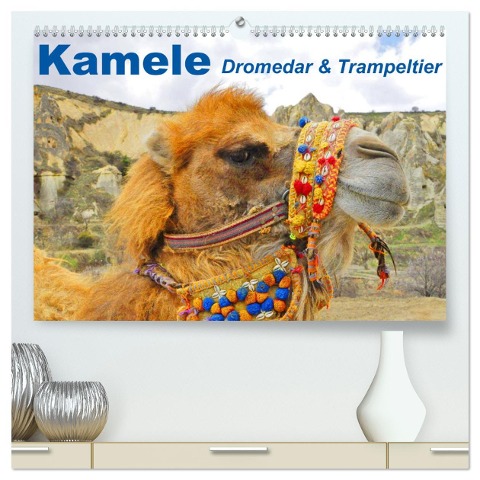 Kamele ¿ Dromedar & Trampeltier (hochwertiger Premium Wandkalender 2025 DIN A2 quer), Kunstdruck in Hochglanz - Elisabeth Stanzer