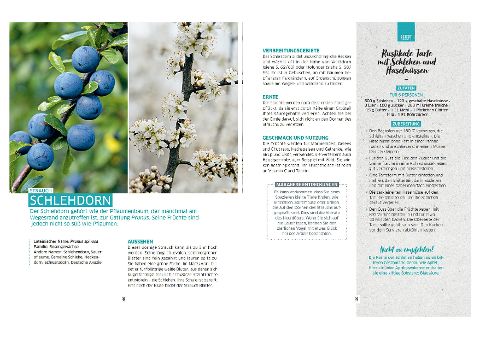 InsideView 3