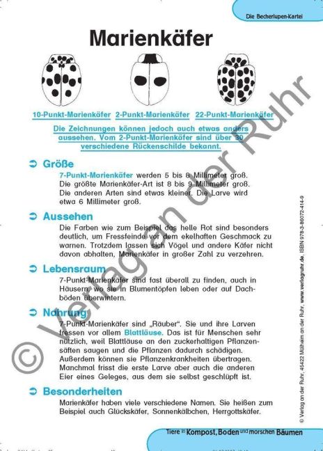 InsideView 6