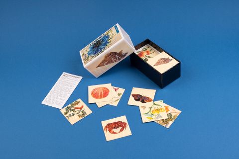 InsideView 2