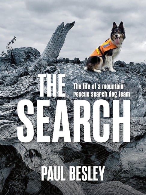 The Search - Paul Besley