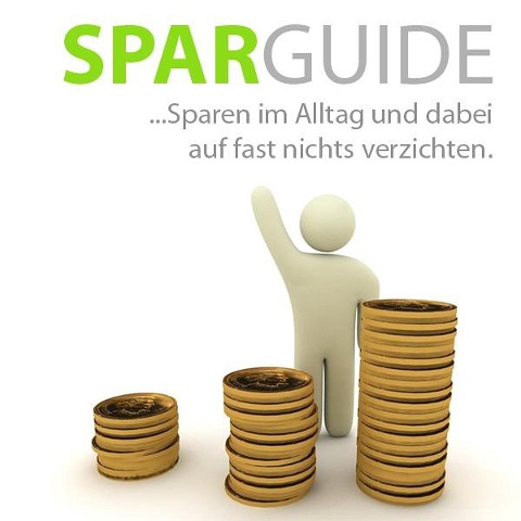 Der große Spar-Guide - Sabine Scheffer