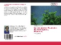 Cover-Bild zum Titel 'La reducción Asunción de Acaraguá y Mbororé' von 'María Angélica Amable'