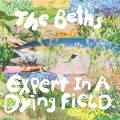 Expert In A Dying Field - The Beths
