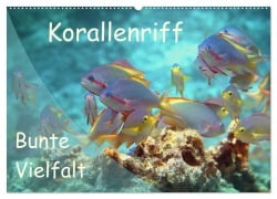 Cover-Bild zum Titel 'Bunte Vielfalt im Korallenriff (Wandkalender 2026 DIN A2 quer), CALVENDO Monatskalender' von 'Ute Niemann'