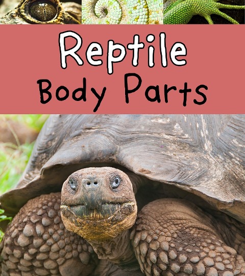 Reptile Body Parts - Clare Lewis