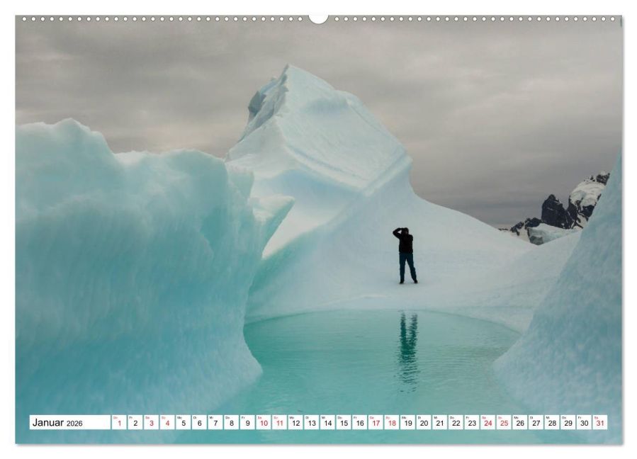 InsideView 5