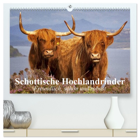 Schottische Hochlandrinder. Freundlich, schön und robust (hochwertiger Premium Wandkalender 2025 DIN A2 quer), Kunstdruck in Hochglanz - Elisabeth Stanzer