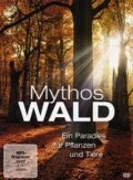 Mythos Wald - 