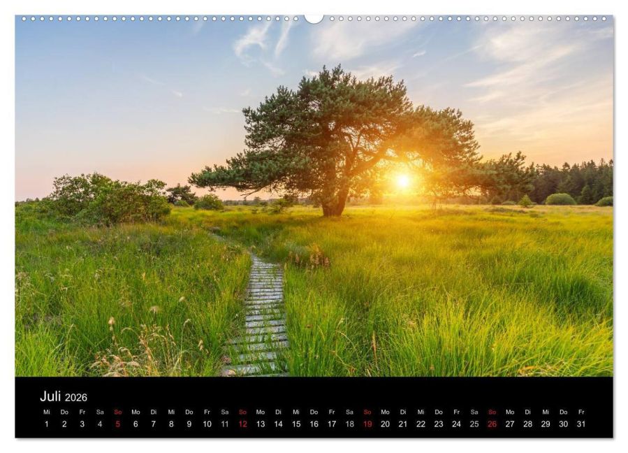 InsideView 11