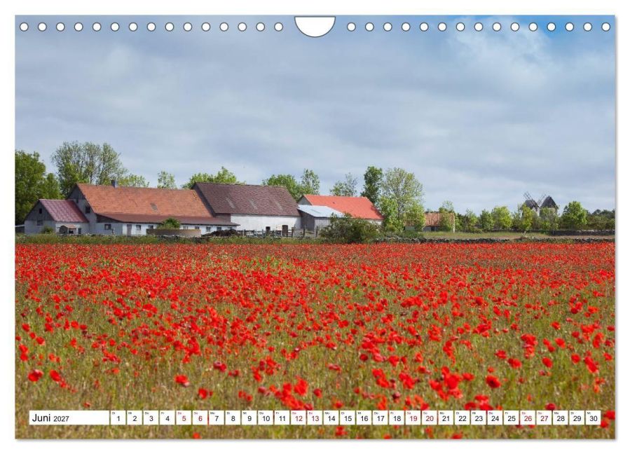 InsideView 11