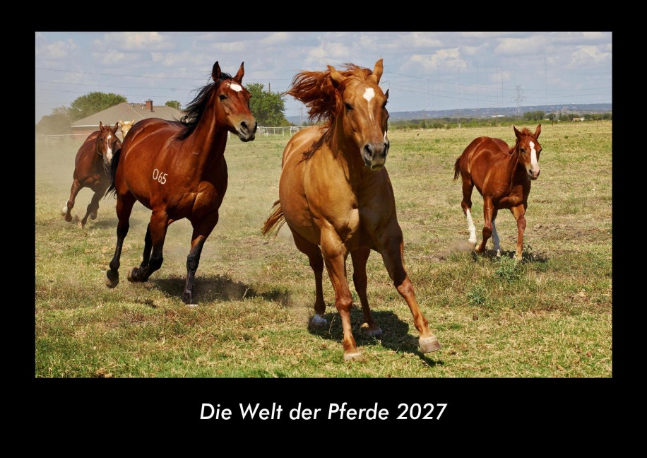 Die Welt der Pferde 2027 Fotokalender DIN A3 - Tobias Becker